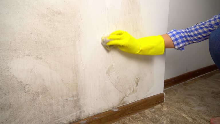 Best Post-Remediation Verification Testing  in Highlandville, MO